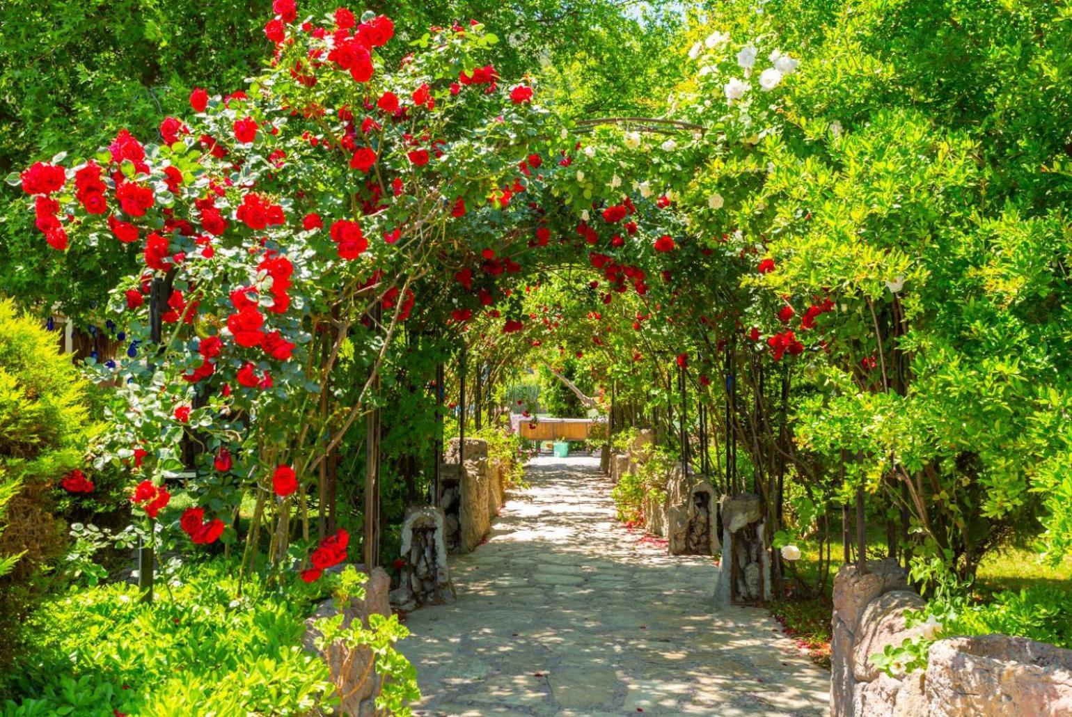Villa Elmas Paradise Dalyan Exteriér fotografie